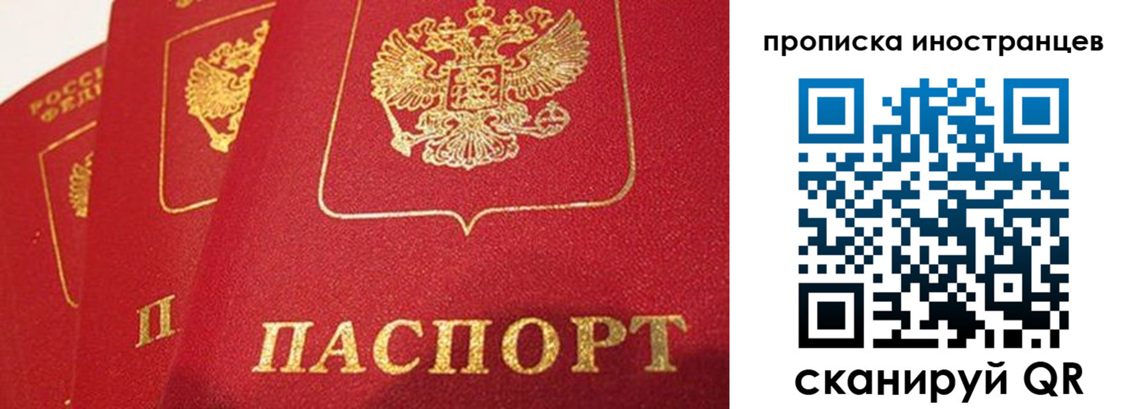 прописка поиск в Берёзовском